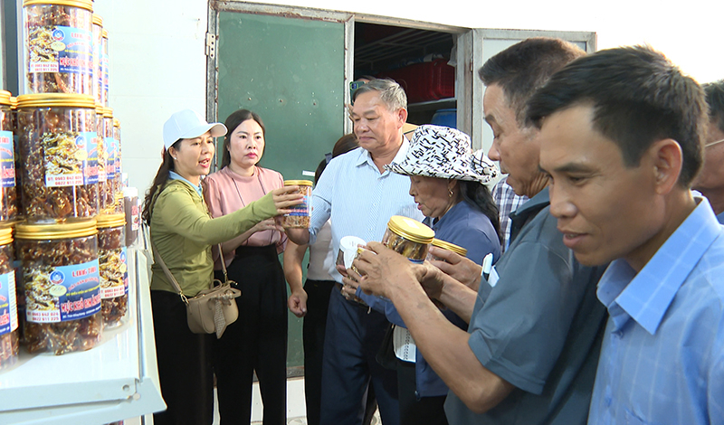Các đại biểu và học viên tham quan các mô hình sản xuất, phát triển kinh tế tại xã Bảo Ninh.