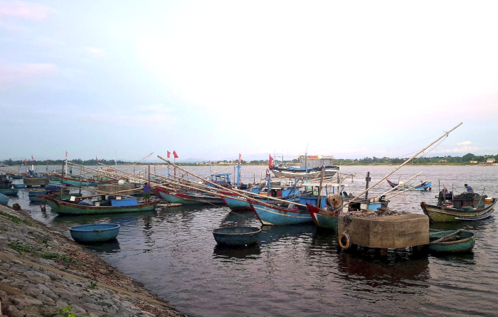 Ra biển câu mực nhảy, mực nháy