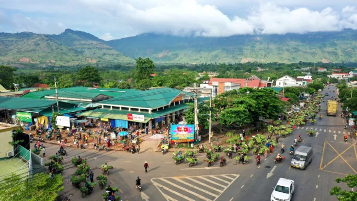 Chợ chuối miền núi biên giới