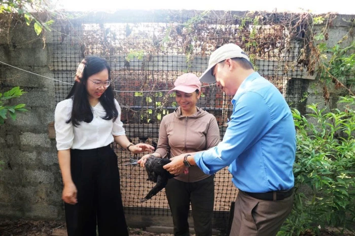 Mở hướng chăn nuôi gà H’Mông