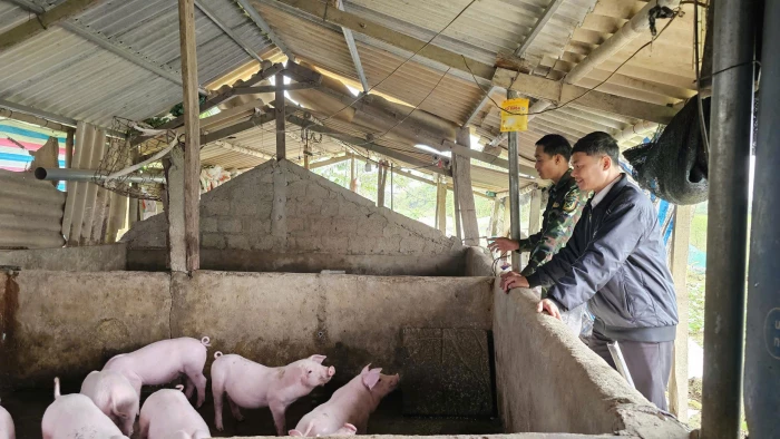 Lo ngại dịch, người tiêu dùng dè chừng với thịt lợn