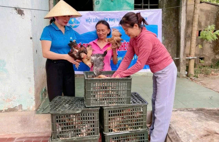 Phụ nữ Quảng Trị chung sức xây dựng nông thôn mới
