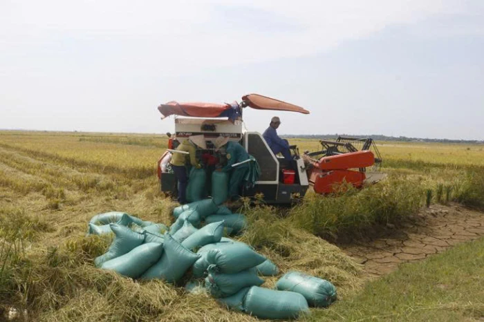 Xã Trường Ninh bứt phá vươn lên phát triển toàn diện