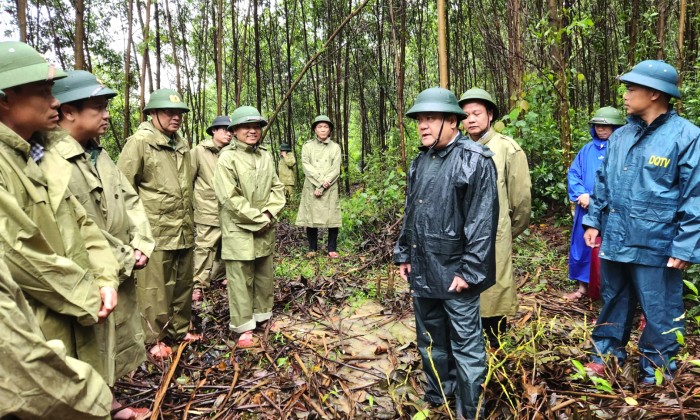 Bảo đảm an toàn cho người dân tại các điểm có nguy cơ sạt lở