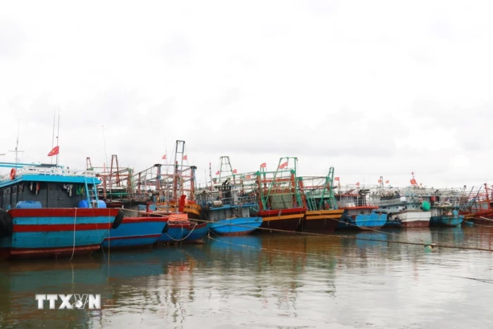 Áp thấp nhiệt đới di chuyển theo hướng Tây Bắc hướng về khu vực Bắc vịnh Bắc Bộ