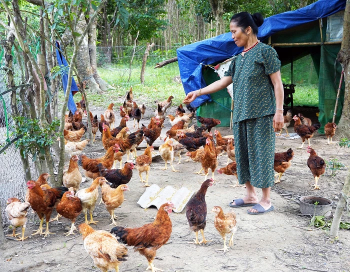 Gương sáng Hồ Thị Pan