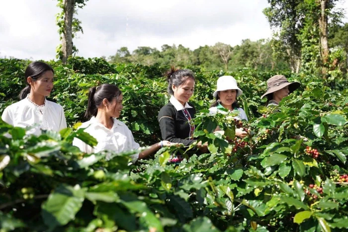 Khe Sanh, câu chuyện kể mãi...