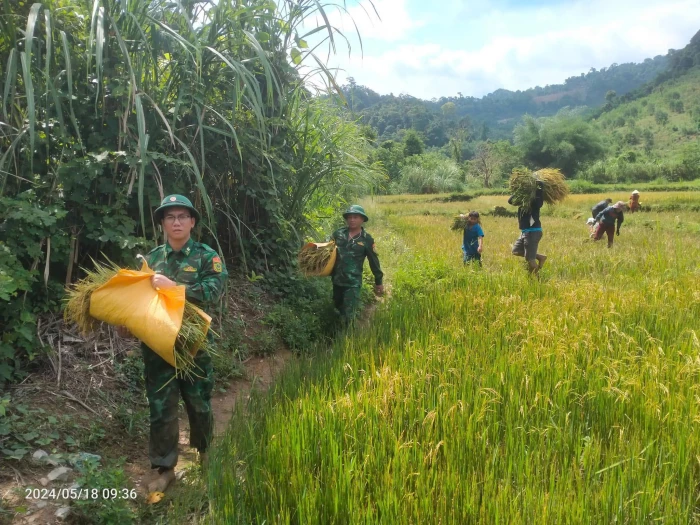 Dệt những mùa vàng nơi biên giới 