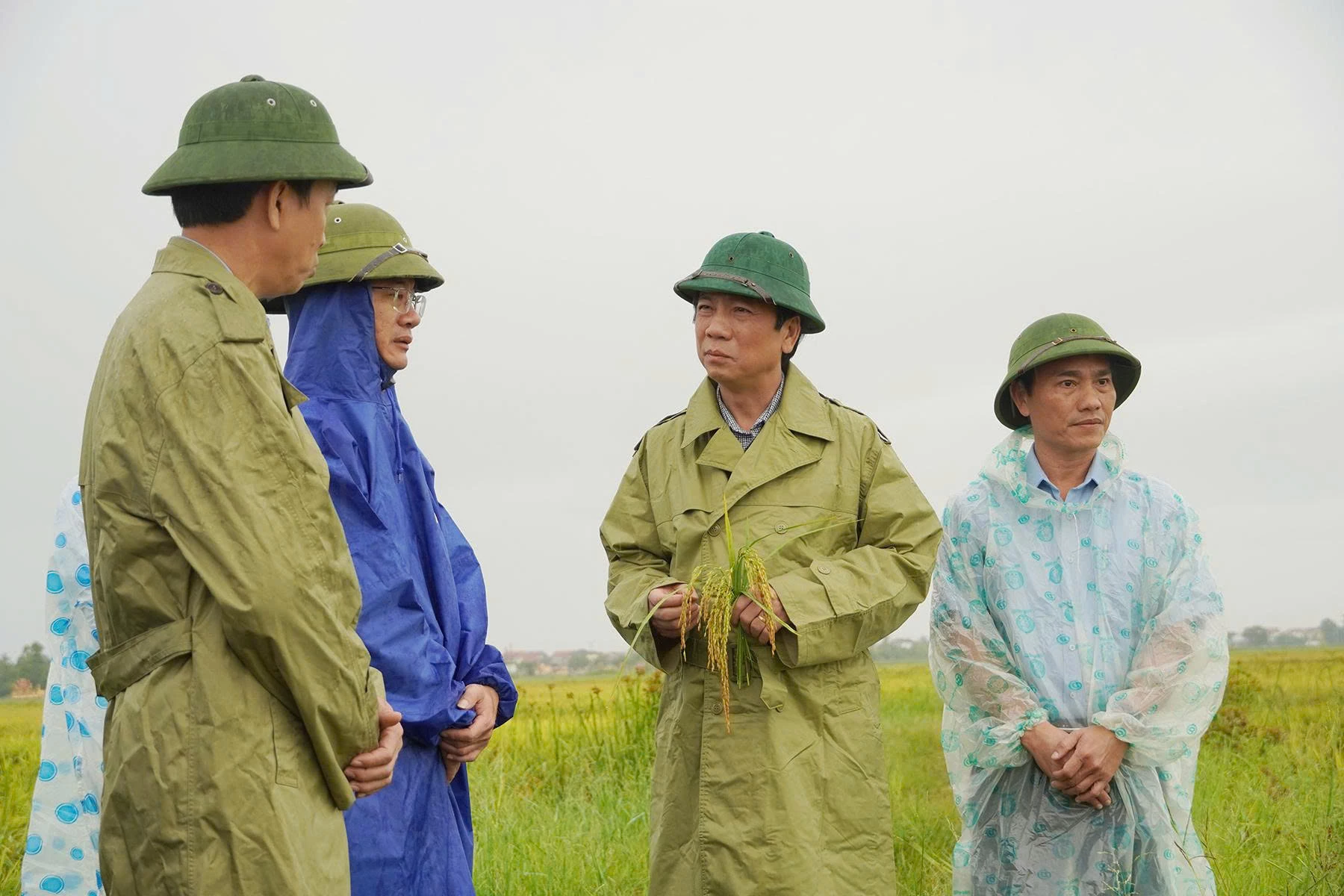 Phó Chủ tịch Thường trực UBND tỉnh Hoàng Nam kiểm tra việc thu hoạch lúa hè thu tại xã Trường Ninh - Ảnh H.N