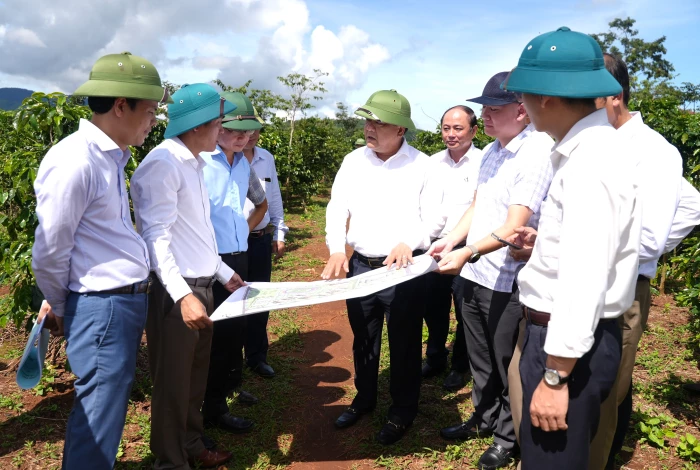 Chủ tịch UBND tỉnh Trần Phong kiểm tra địa điểm dự kiến xây dựng các trụ sở, trường học