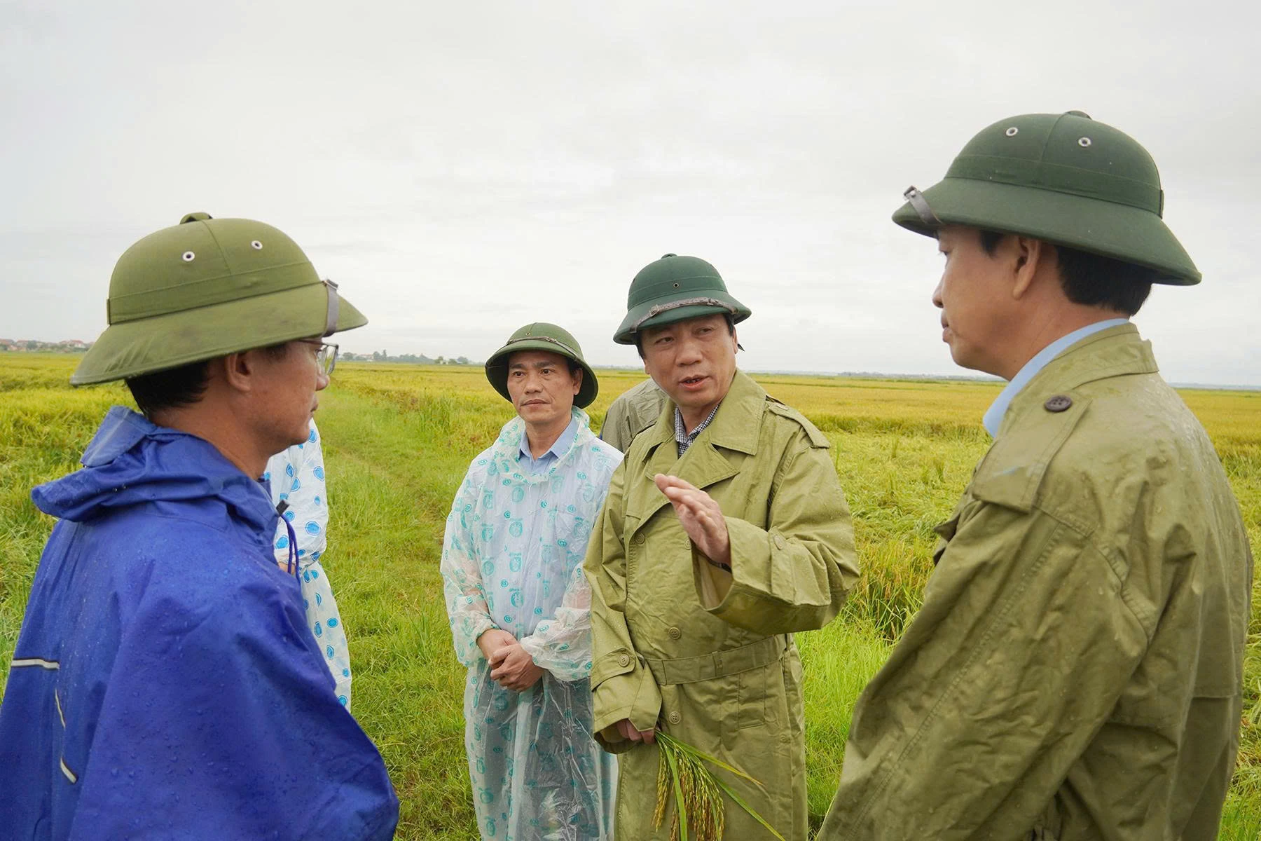 Phó Chủ tịch Thường trực UBND tỉnh Hoàng Nam yêu cầu địa phương đây nhanh tiến độ thu hoạch lúa để tránh mưa lũ - Ảnh H.N