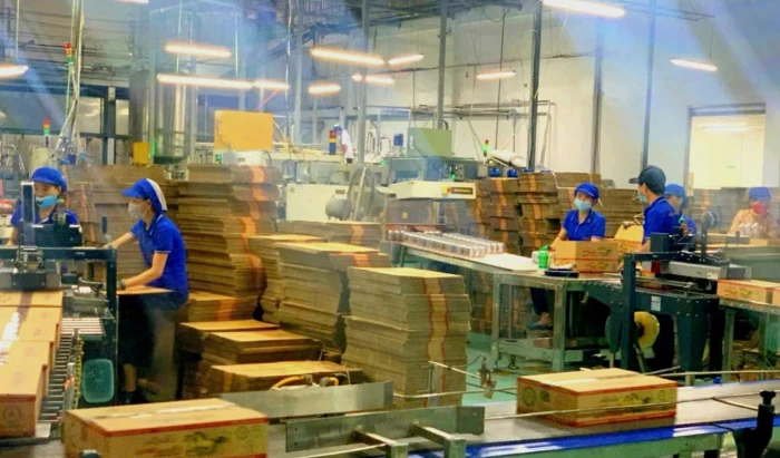 Bảo đảm môi trường làm việc an toàn cho người lao động