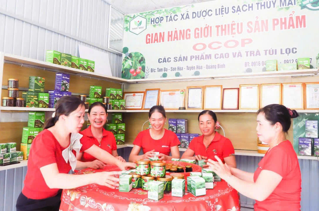 Các thành viên HTX dược liệu sạch Thủy Mai chế biến sản phẩm - Ảnh: X.V