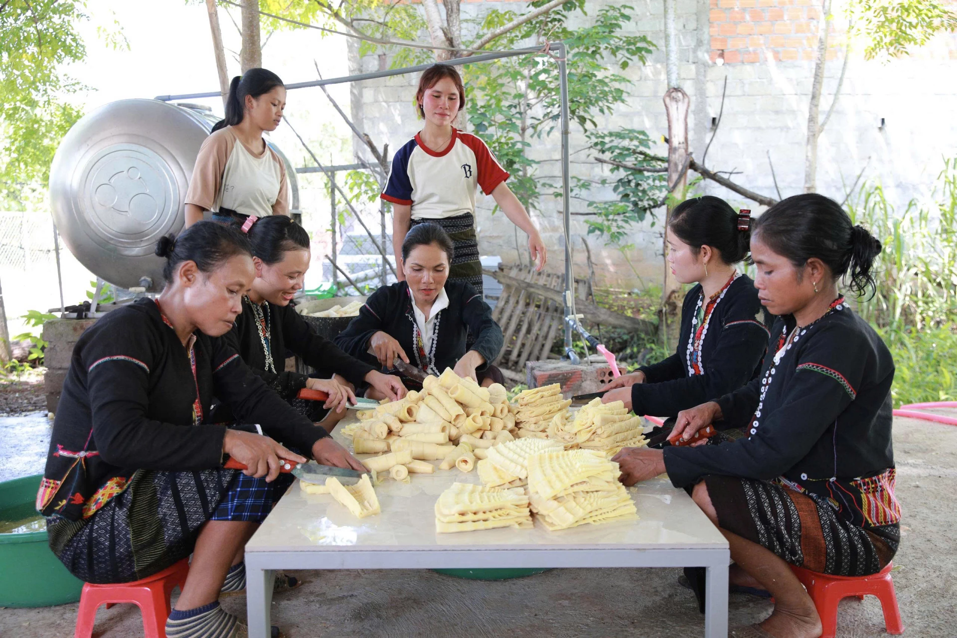 Măng A Ho được tách vỏ, rửa sạch và luộc chín để chuẩn bị đưa vào nhà sấy bằng năng lượng mặt trời-Ảnh: P.T.L