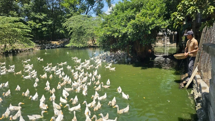 Làm giàu trên vùng đất khó
