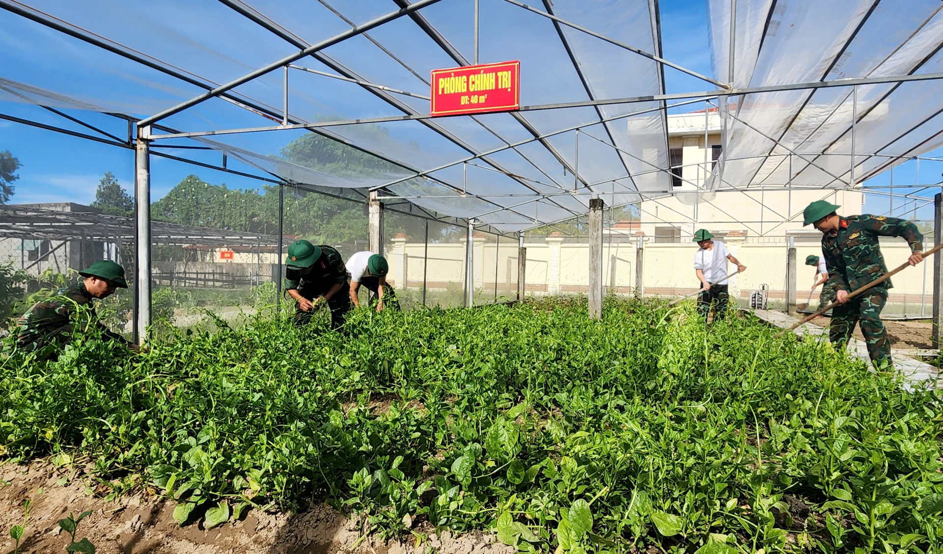 Cán bộ, chiến sĩ Ban Chỉ huy Phòng thủ khu vực 2-Quảng Ninh tham gia lao động, tăng gia sản xuất tại đơn vị  -Ảnh: T.Long