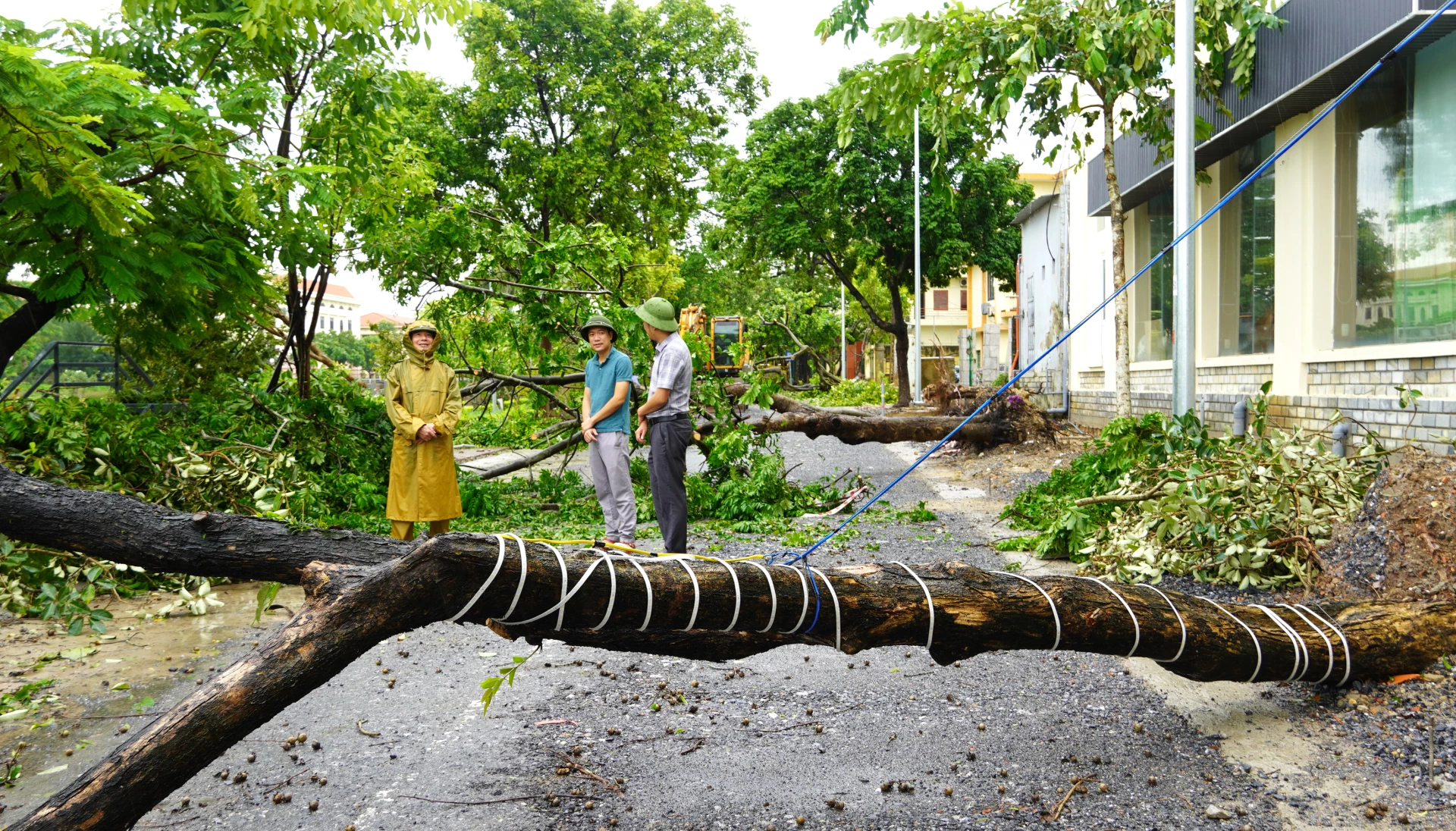 Lãnh đạo phường Đồng Hới chỉ đạo công tác khắc phục thông các tuyến đường do cây xanh bị gãy đổ tại tuyến đường Đoàn Thị Điểm. Ảnh: H.Tr