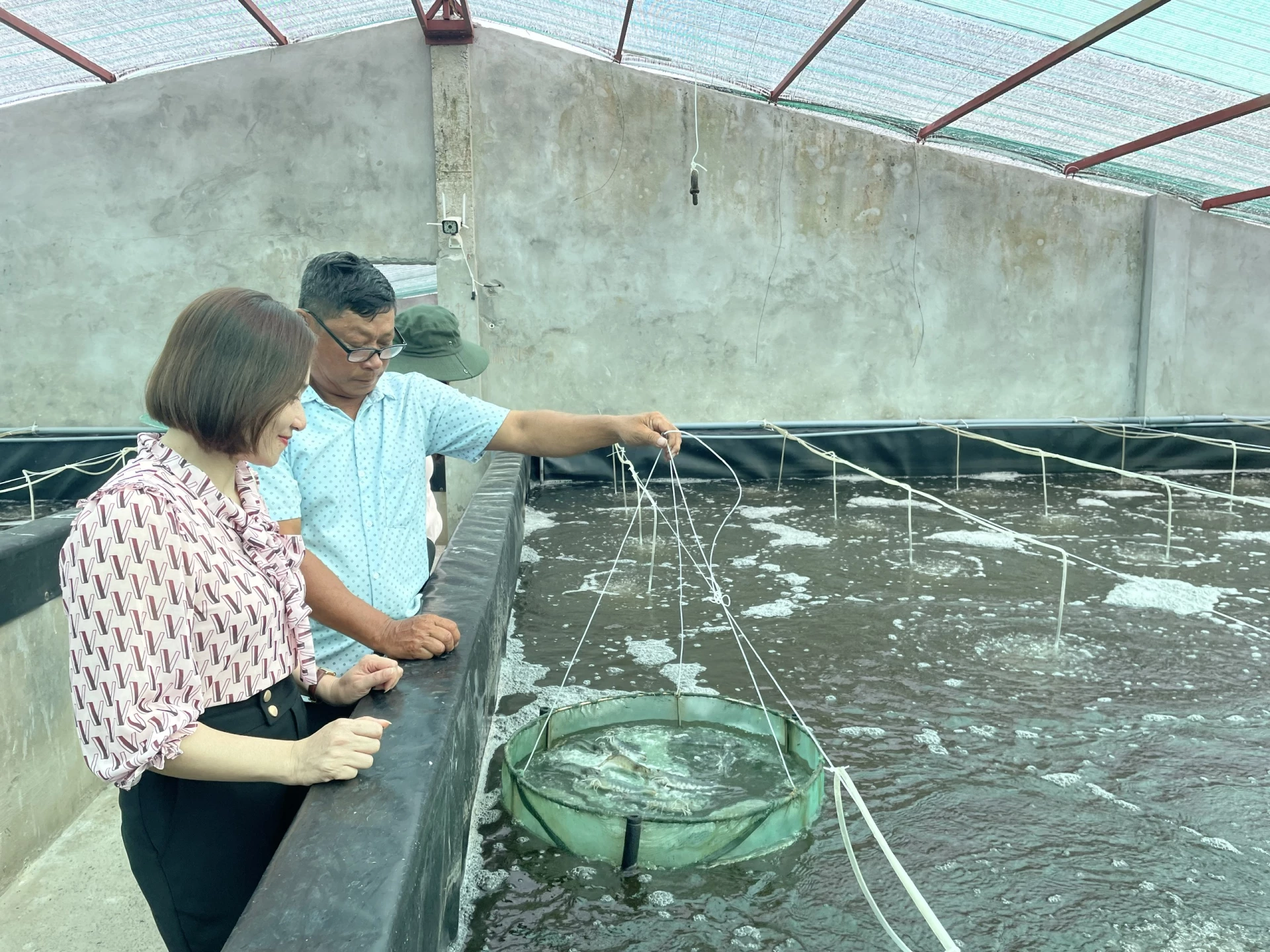 Nuôi tôm công nghệ cao là một trong những giải pháp hạn chế rủi ro do biến đổi khí hậu và nâng cao chất lượng, sản lượng - Ảnh: T.H