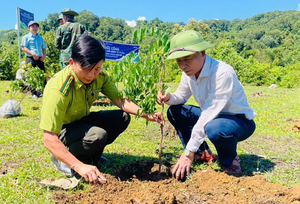 Lãnh đạo xã Tuyên Lâm và lực lượng Kiểm lâm trồng cây bản địa - Ảnh: X.V