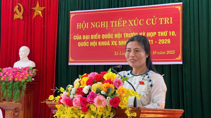 Đoàn ĐBQH tỉnh Quảng Trị tiếp xúc cử tri trước Kỳ họp thứ 10, Quốc hội khóa XV