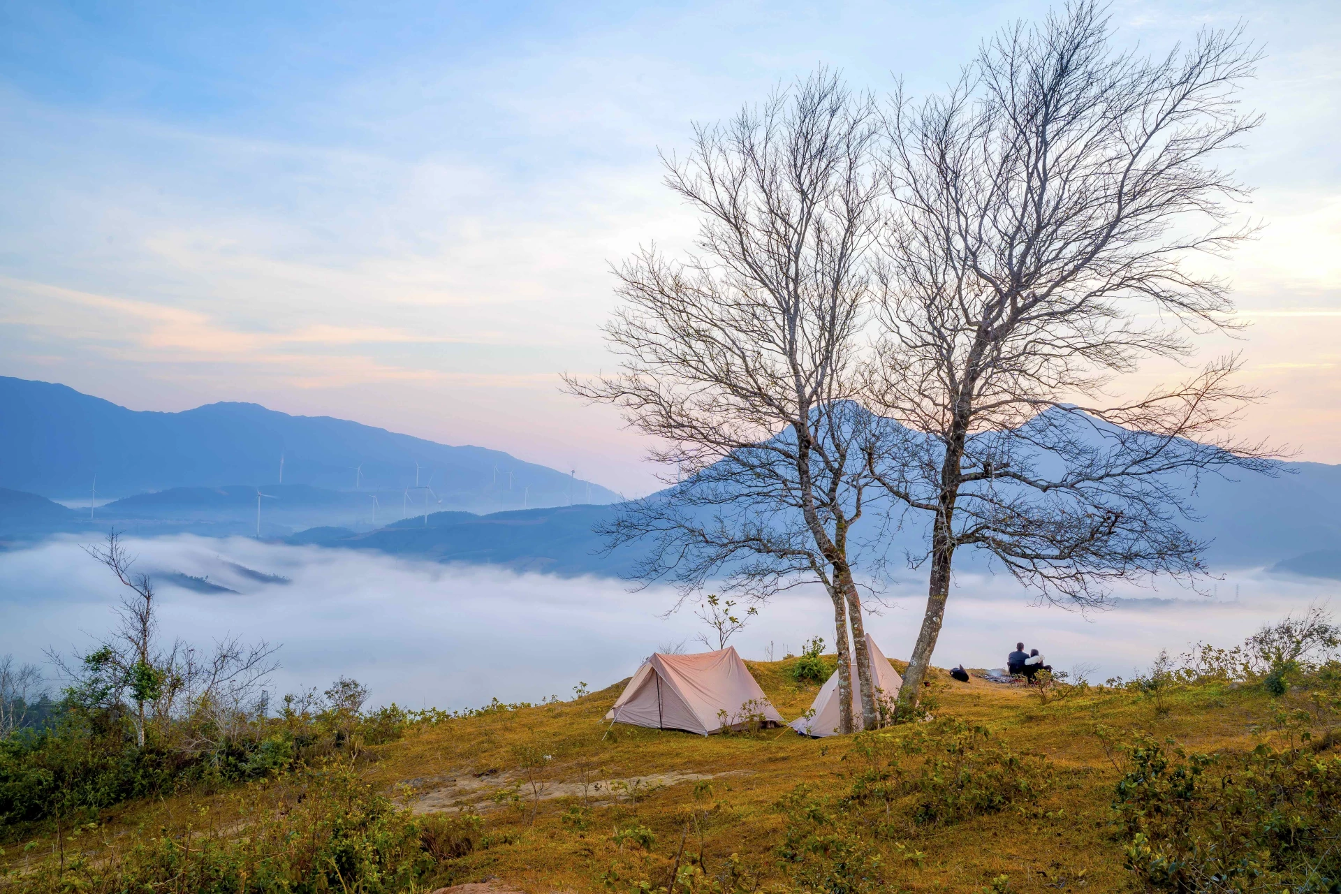 Tour Khe Sanh Camping săn mây ở khu điện gió Hướng Tân - Ảnh: Q.N