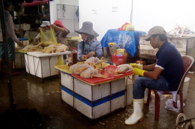 Kiểm soát chặt hoạt động kinh doanh, buôn bán, vận chuyển gia súc, gia cầm