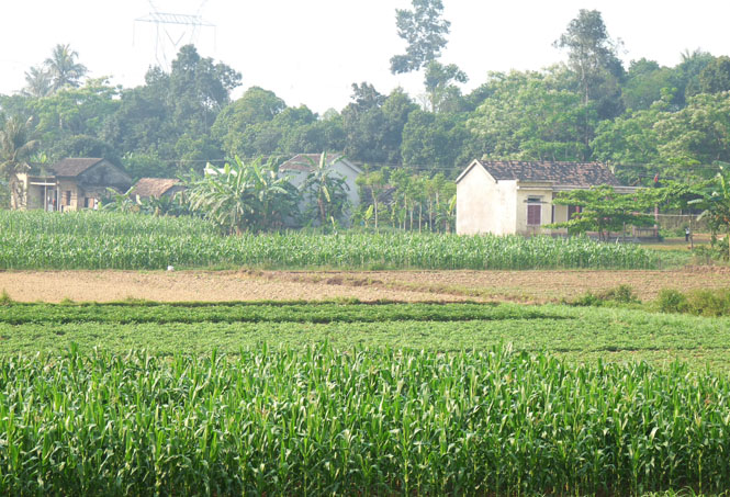 Nhà quê
