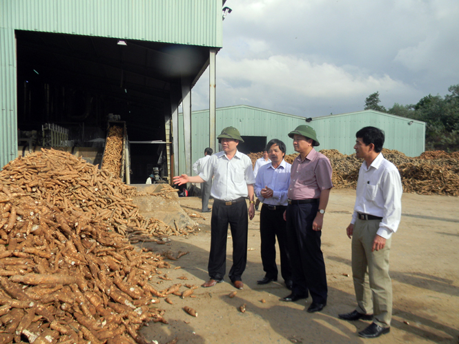 UBND tỉnh làm việc với Công ty CP tư vấn và đầu tư Long Giang Thịnh