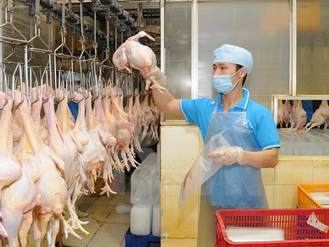 Dự báo không thiếu nguồn cung rau, thịt dịp Tết Nguyên đán