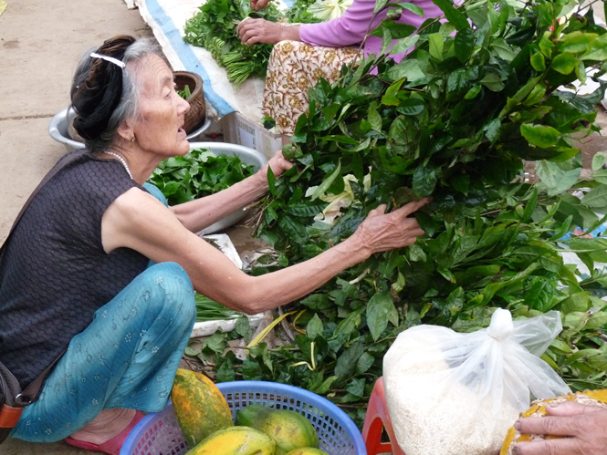 Chùm thơ tham gia cuộc vận động sáng tác thơ "Thắp sáng niềm tin"