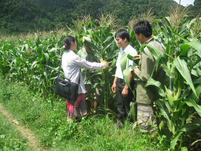 Hàng chục cán bộ chưa rõ tương lai