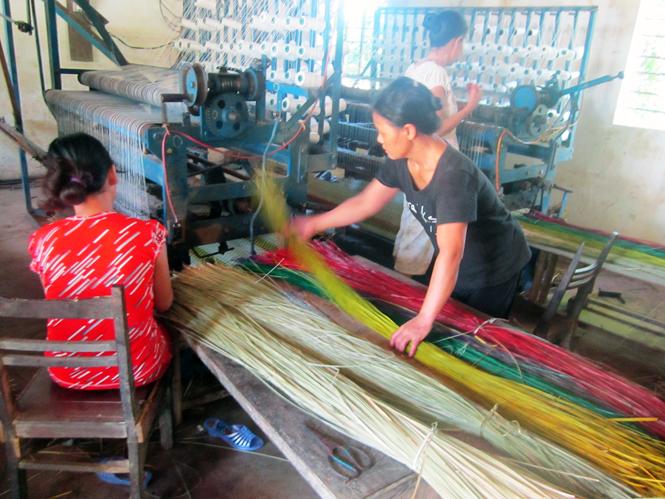 Hội Nông dân huyện Lệ Thủy: Phát huy vai trò trong phát triển kinh tế-xã hội
