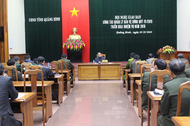 Nâng cao hiệu quả sản xuất lâm nghiệp đi đôi với quản lý rừng bền vững