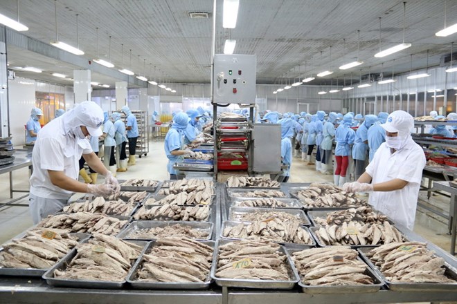 Thúc đẩy quan hệ hợp tác toàn diện giữa Việt Nam và Hoa Kỳ