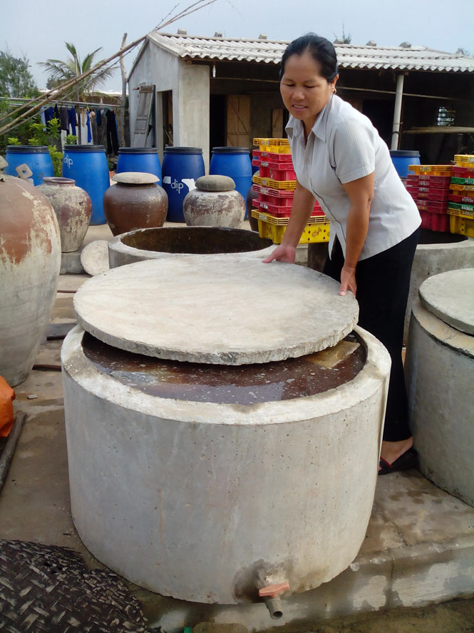 Năm 2016, tỉnh ta  phấn đấu xây dựng từ 30-35 mô hình HTX điển hình tiên tiến toàn diện