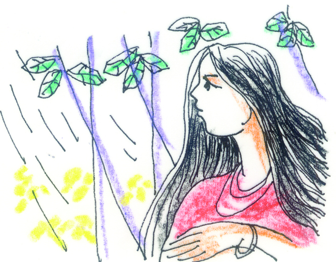 Mưa xuân