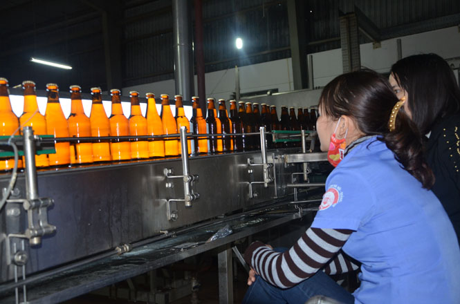 Công ty CP bia Hà Nội-Quảng Bình: Năm 2015 sản xuất tiêu thụ gần 21 triệu lít bia