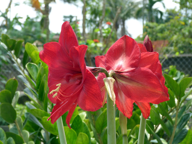 Khắc ghi