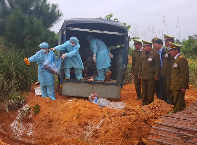 Tiêu hủy 1,3 tấn tim lợn và 165kg cánh gà không rõ nguồn gốc