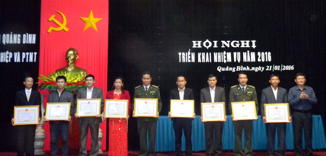 Chuyển đổi sản xuất nông nghiệp theo hướng hàng hoá, đáp ứng nhu cầu thị trường