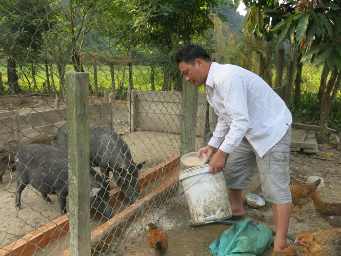 Chuyển mình từ Chương trình 135