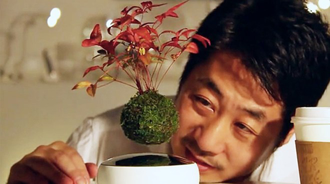Nhật Bản gây sửng sốt với phát minh cây bonsai biết bay