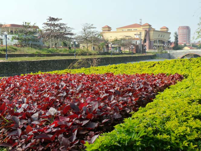 Nắng vàng cuối chạp