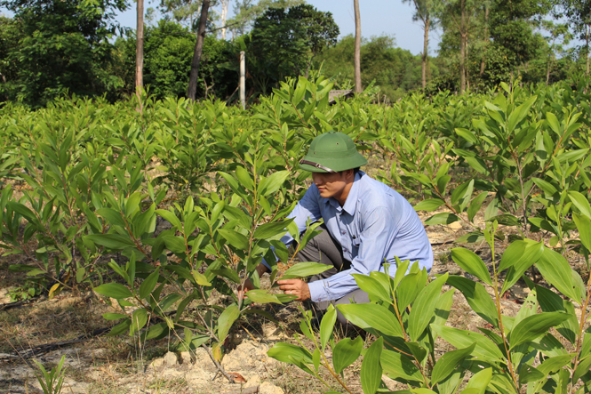 Đảng bộ Sen Thủy Tập trung xây dựng hệ thống chính trị cơ sở