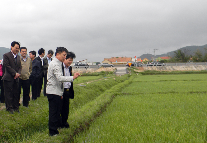 Đồng chí Chủ tịch UBND tỉnh kiểm tra tình hình sản xuất vụ đông-xuân tại huyện Bố Trạch