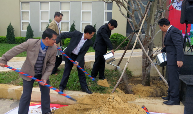 Tỉnh Đoàn phát động "Tết trồng cây đời đời nhớ ơn Bác Hồ" xuân Bính Thân 2016