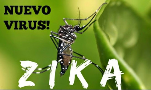 Phòng chống virus Zika khâu dự phòng là quan trọng nhất