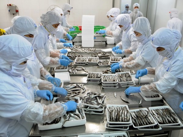 Trao chứng nhận Hàng Việt Nam chất lượng cao cho 500 doanh nghiệp