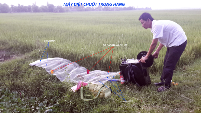 Người nông dân sáng tạo