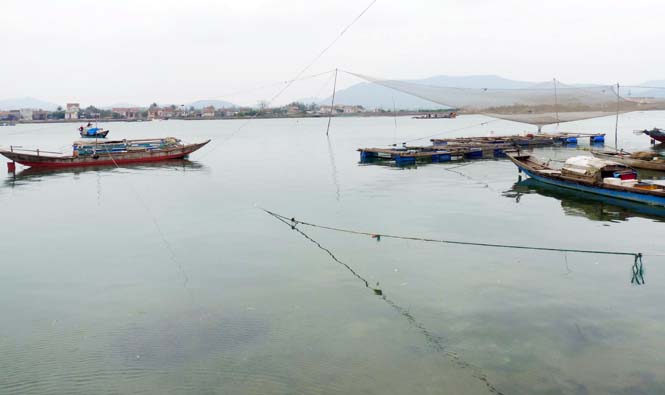Đọc "Suối không ngừng chảy"